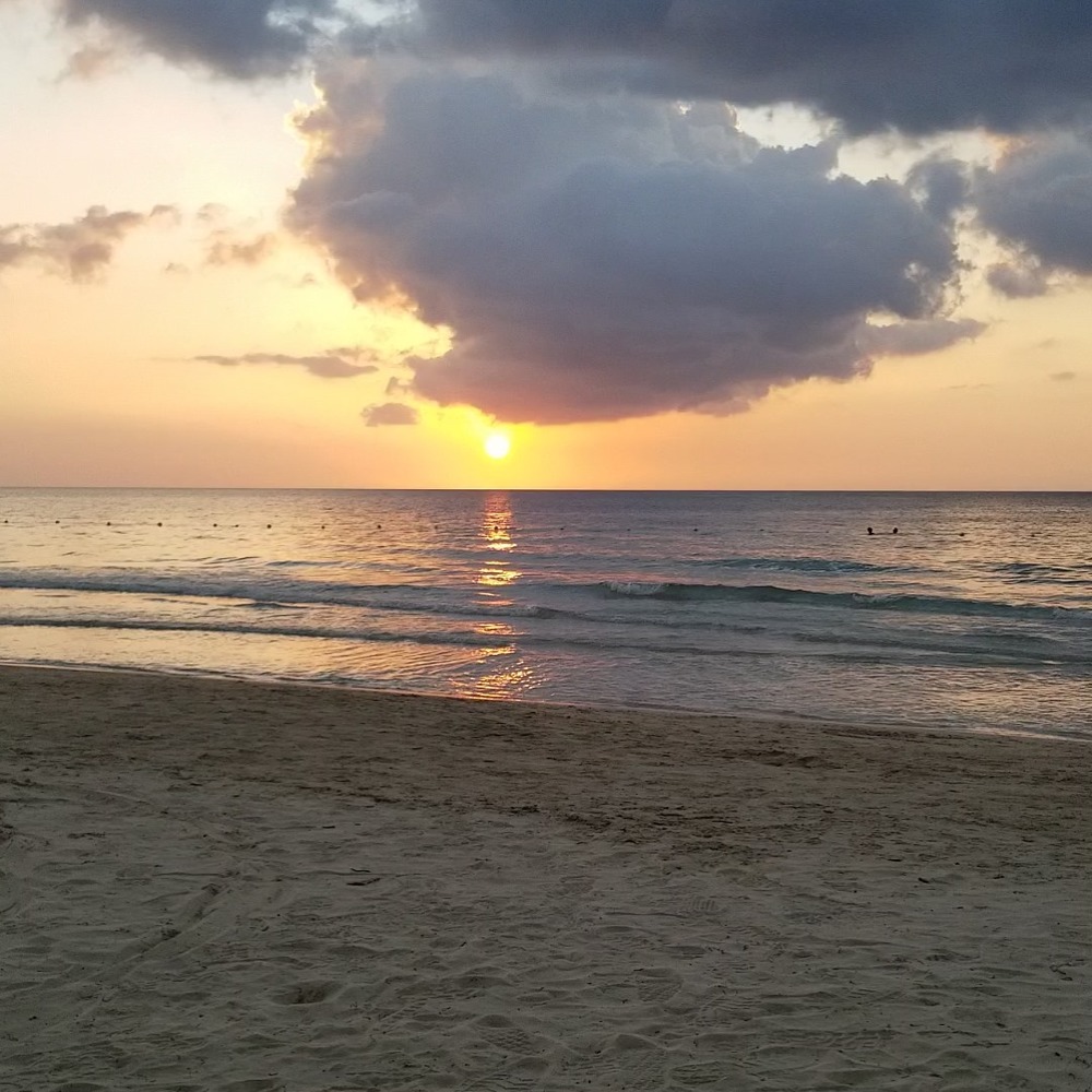 Meet your Posher, Tim